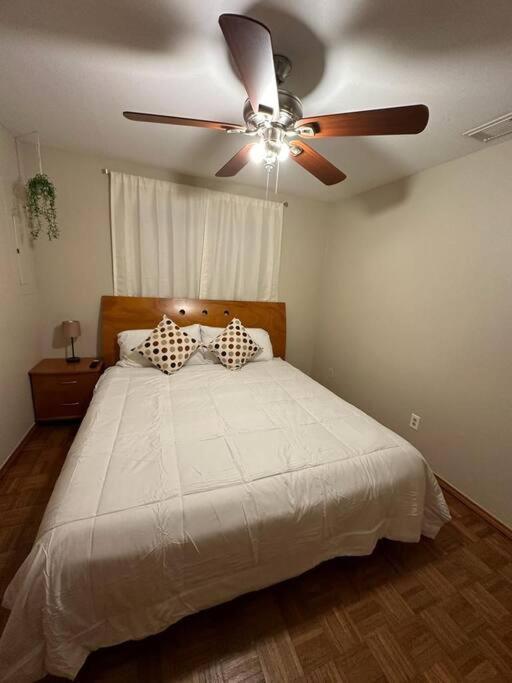 Mcallen 4Br With Pool, Shopping & More Luaran gambar