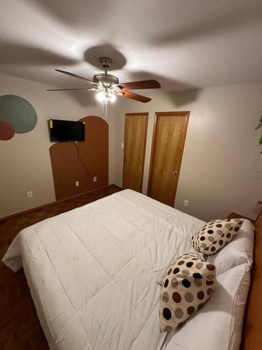 Mcallen 4Br With Pool, Shopping & More Luaran gambar